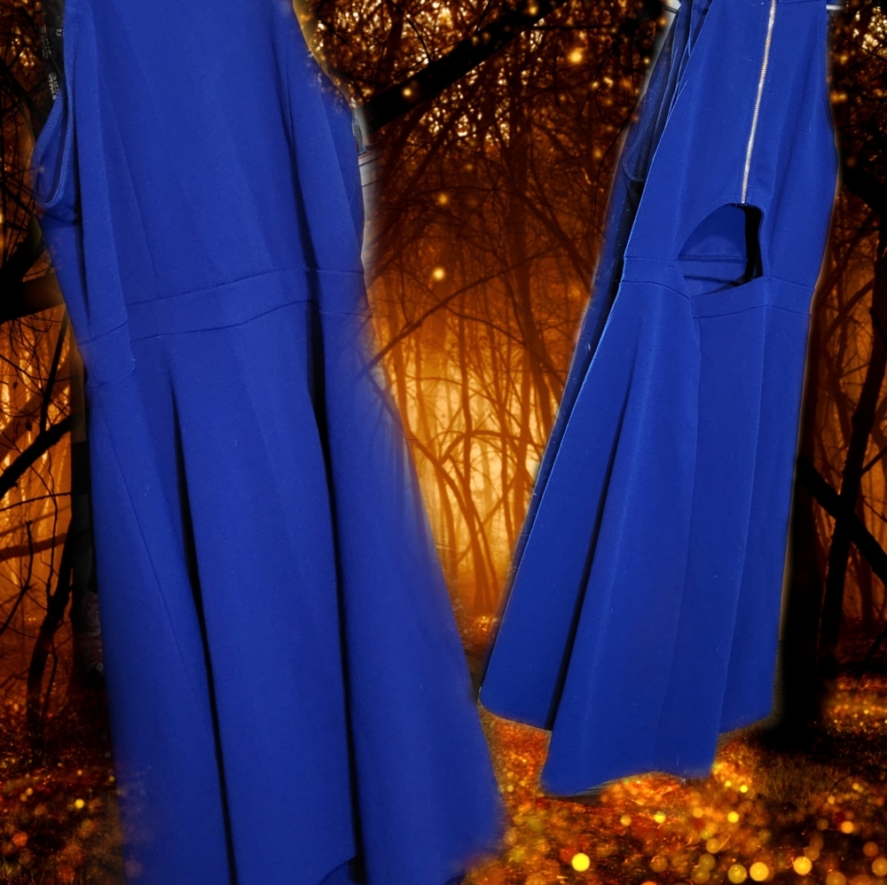 Beautiful evening/cocktail dress